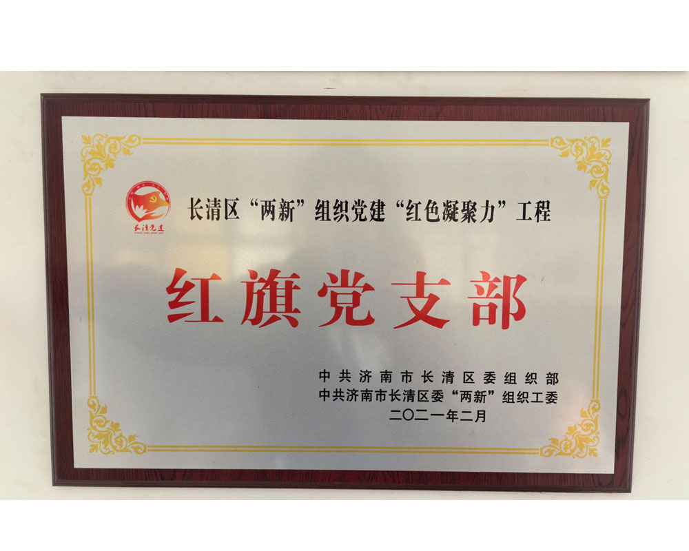 红旗党支部